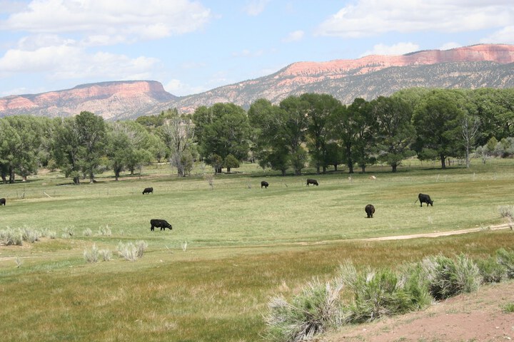 Bryce Zion Inn