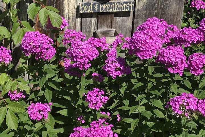 Hotel Exterior 40 of 42