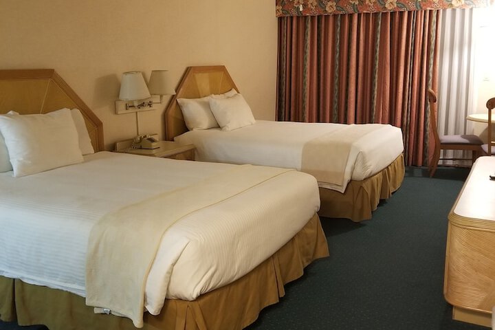 Room 76 of 229