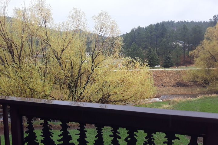 Alices Black Hills Cottage
