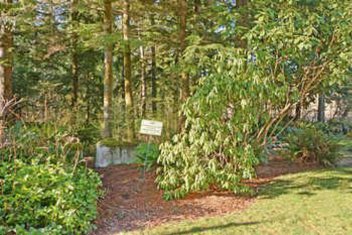 Prospectors Bend - Two Bedroom Home with Hot Tub