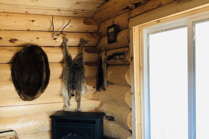 Wrangell Mountain Lodge