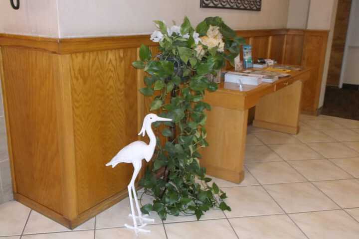 Hotel Interior 15 of 82