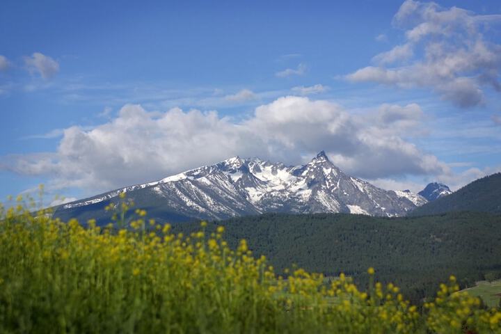 Rye Creek Lodge