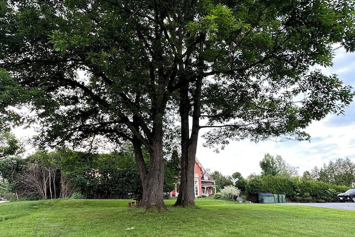 Property Grounds 39 of 41