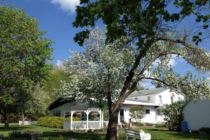 Lukans Farm Resort