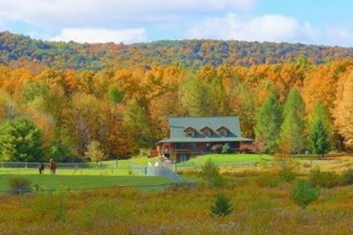 Mountain Horse Farm