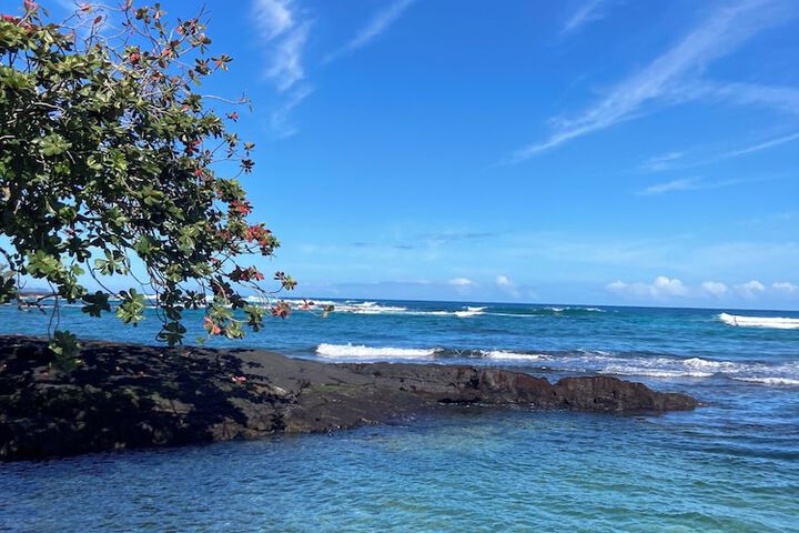 Hilo Bay Oceanfront B & B