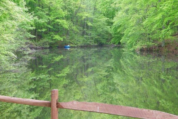 Lake Myers Lakeside Villa 16