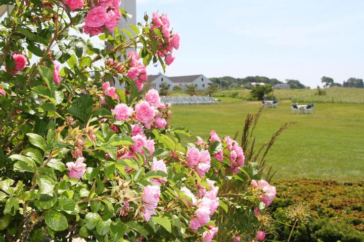 The Seaside Inn