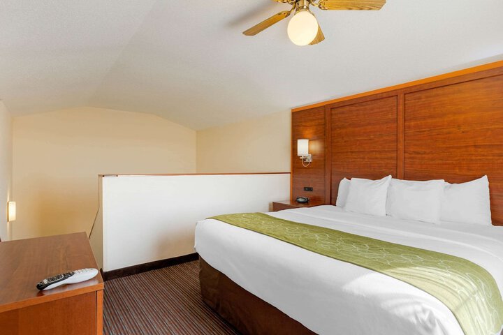 Comfort Suites Stevensville - St. Joseph