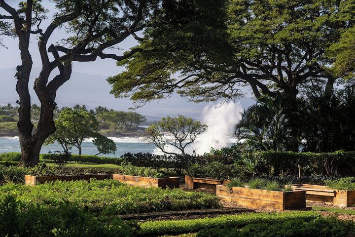 Mauna Kea Beach Hotel Autograph Collection
