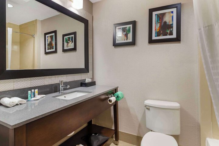 Comfort Suites Shenandoah-The Woodlands