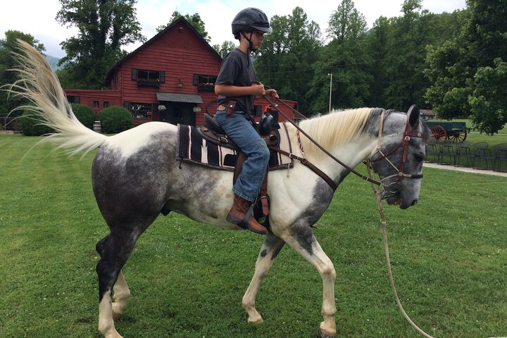 Pisgah View Ranch