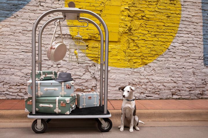 Pet Friendly 36 of 37