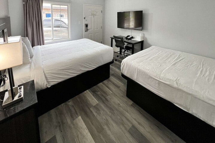 Room 26 of 49