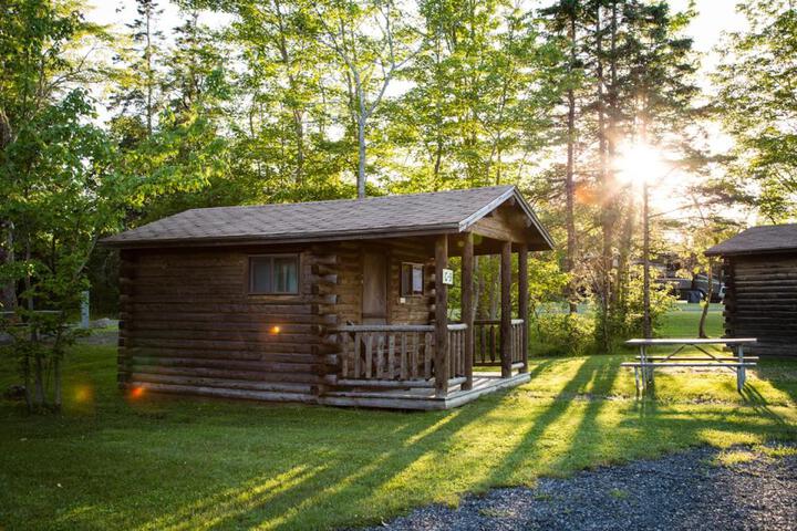 Narrows Too Camping Resort Cabin 6