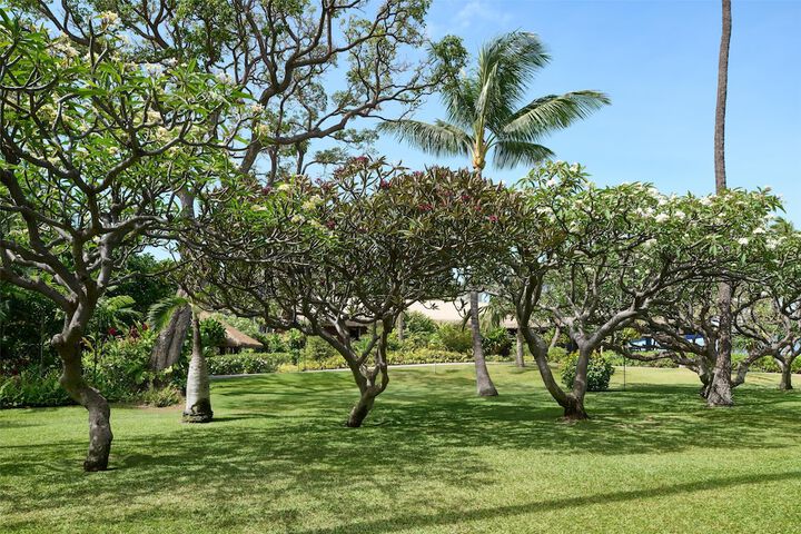 OUTRIGGER Kaanapali Beach Resort