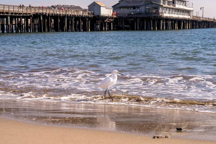 Beach 186 of 221