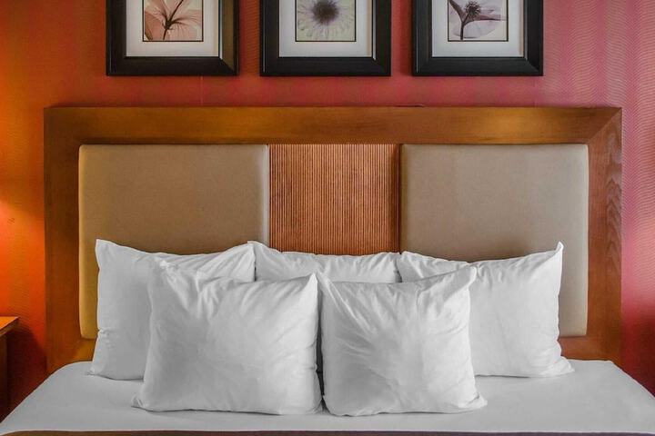 Hotel Hanna