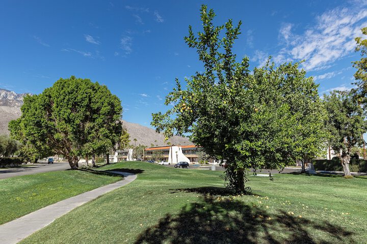 Property Grounds 29 of 29