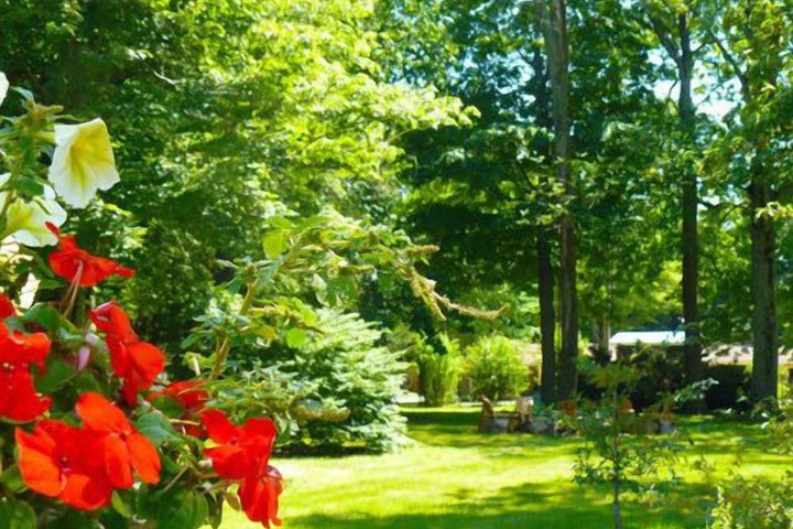 The Saugatuck Retro Resort Motel