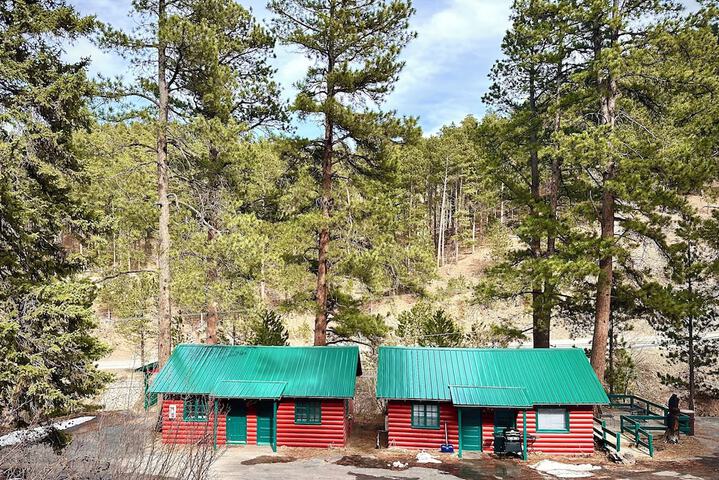 Ponderosa Pines