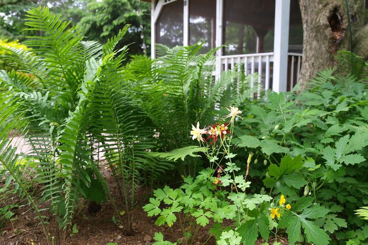 1825 Inn Bed and Breakfast