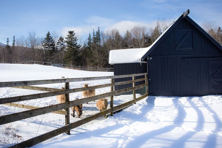 Mountain Meadows Lodge
