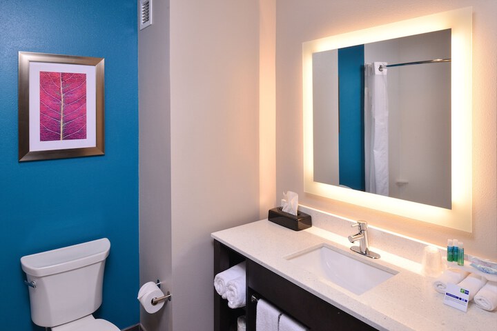 Holiday Inn Express & Suites Bryant - Benton Area by IHG