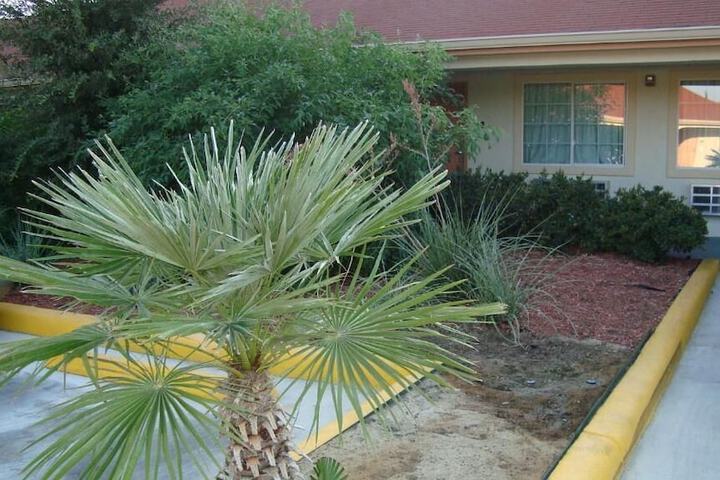 Property Grounds 41 of 45