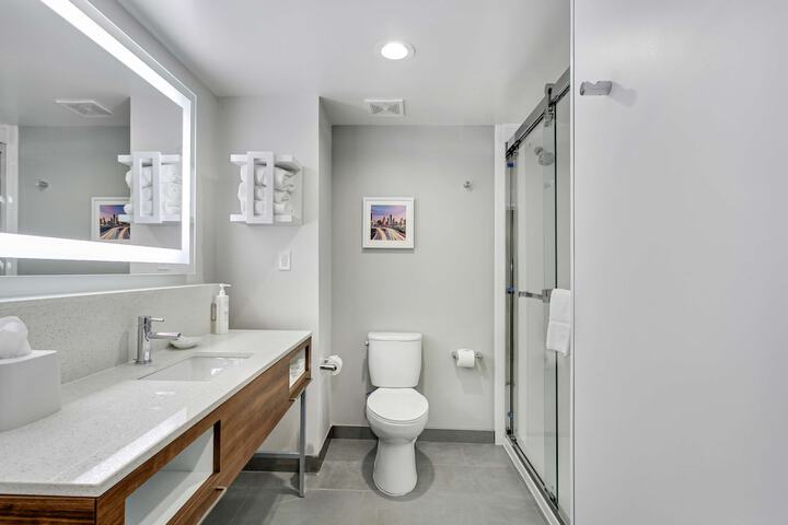Hampton Inn Houston-Pearland