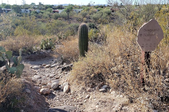 Outdoor Activities 125 of 125