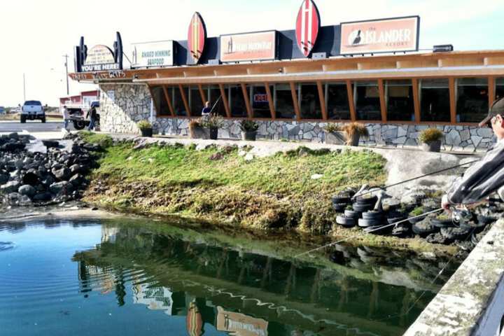 Islander Westport