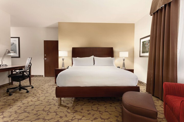 Hilton Garden Inn Rochester Downtown NY