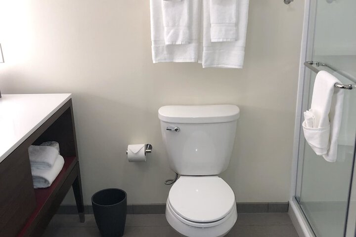 Holiday Inn Hotels and Suites Mount Pleasant by IHG