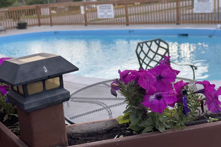 Pool 10 of 39