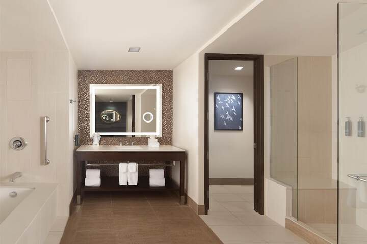 Hilton Dallas / Plano Granite Park