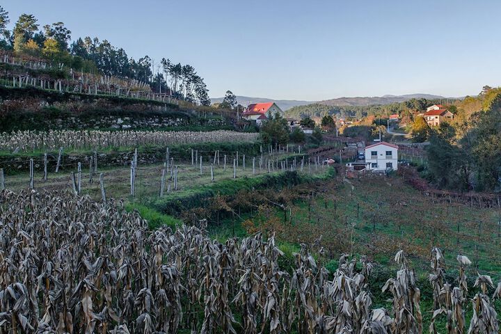 Casa da Cevidade