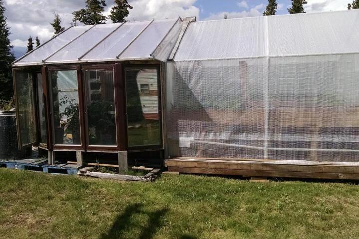 Denalis Alaskan Spruce Cabins