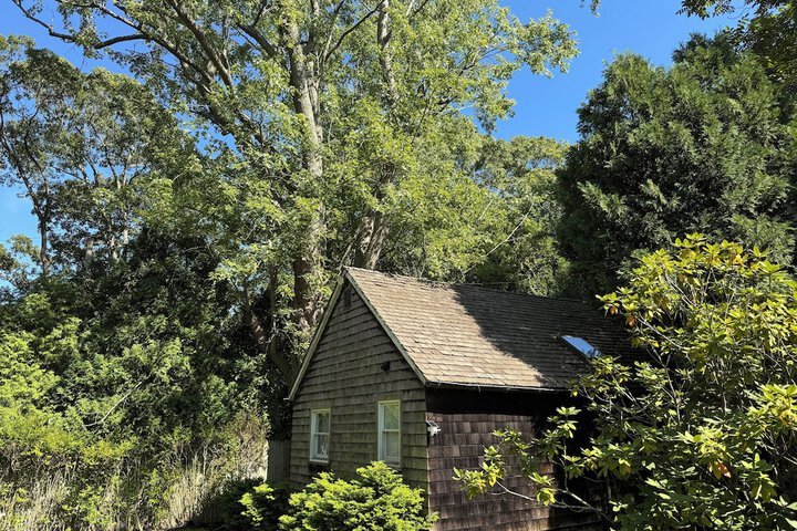Wainscott Woods Retreat