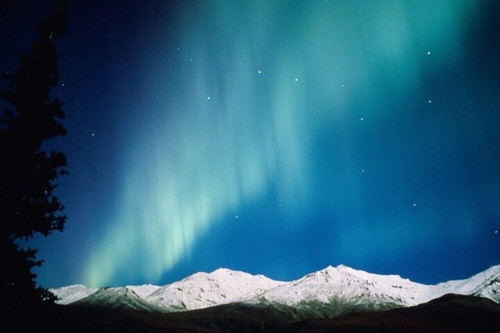 Aurora Denali Lodge