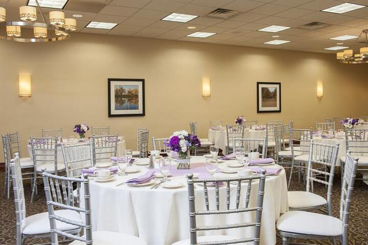 HOLIDAY INN ITASCA (WOODFIELD AREA) (EX