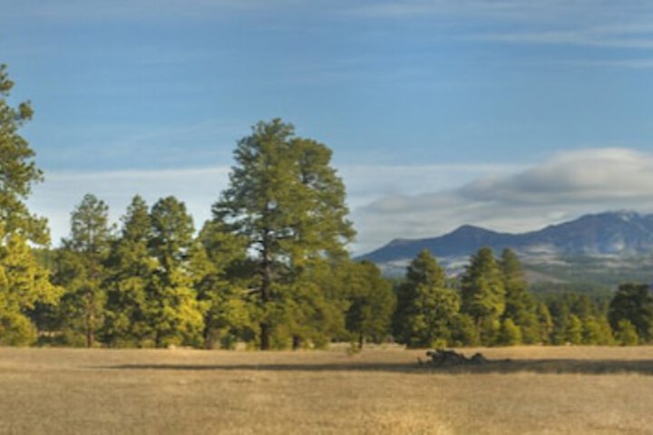 Elktrace Bed & Breakfast