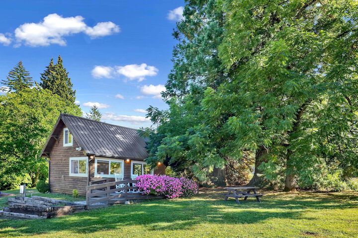 Cozy Ferndale Studio on 20-acre Working Farm!