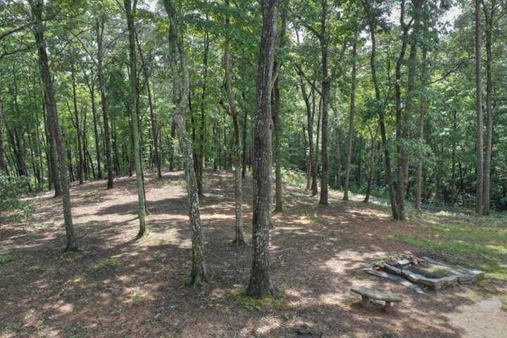 32 Acre Memory Maker by Escape to Blue Ridge