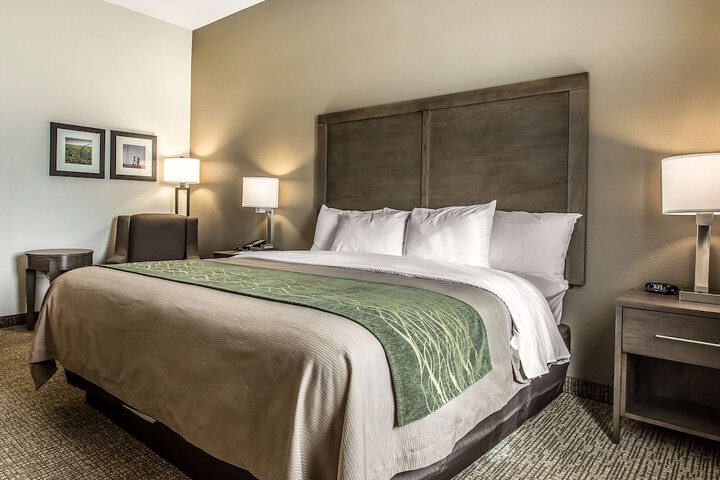 Comfort Inn & Suites Snyder