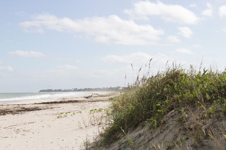 Beach 368 of 392