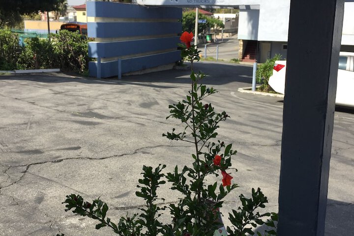 Property Grounds 44 of 45