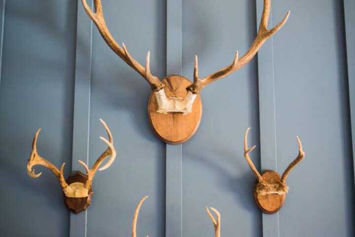 Anglers Lodge